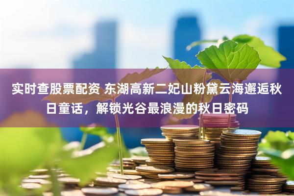 实时查股票配资 东湖高新二妃山粉黛云海邂逅秋日童话，解锁光谷最浪漫的秋日密码
