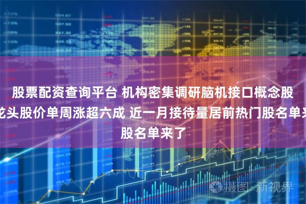 股票配资查询平台 机构密集调研脑机接口概念股！龙头股价单周涨超六成 近一月接待量居前热门股名单来了
